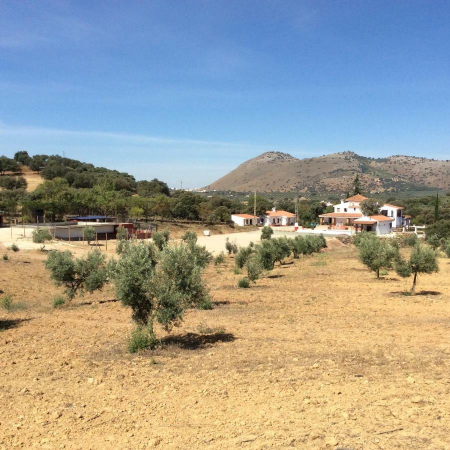 Santa Marta Complejo Rural Con Pista De Padel Pension Archidona Buitenkant foto